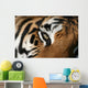 eye of the tiger Wall Mural
