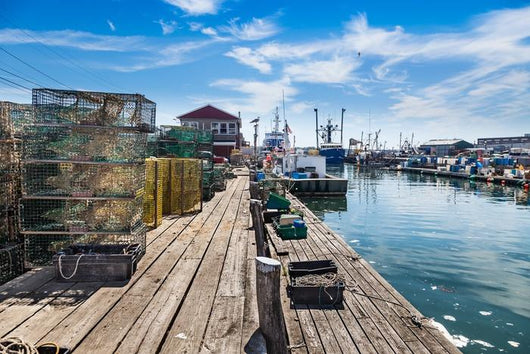 Union Wharf Lobster Traps Wall Decal
