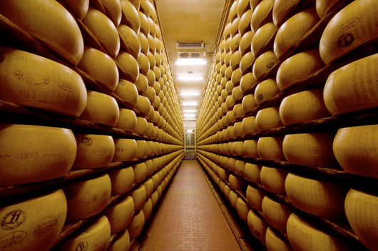 italian cheese Wall Mural