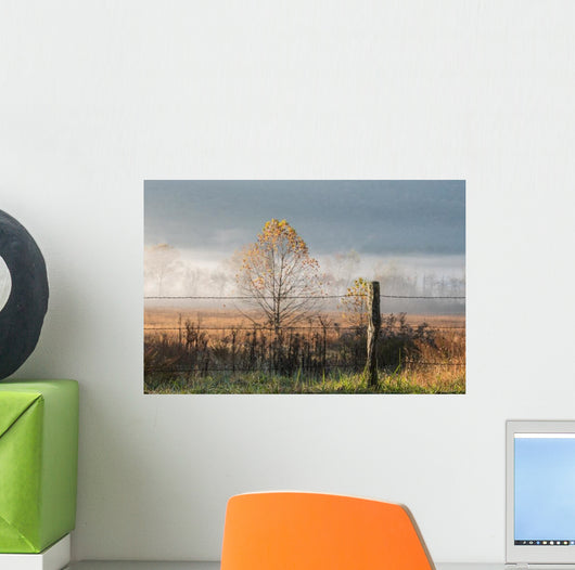 Old Wire Fence Foggy Wall Decal