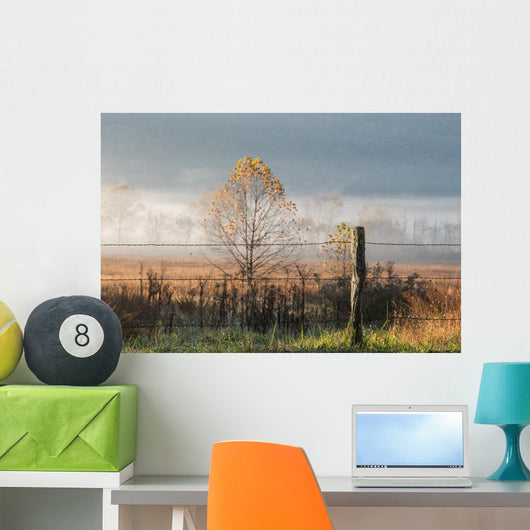 Old Wire Fence Foggy Wall Decal