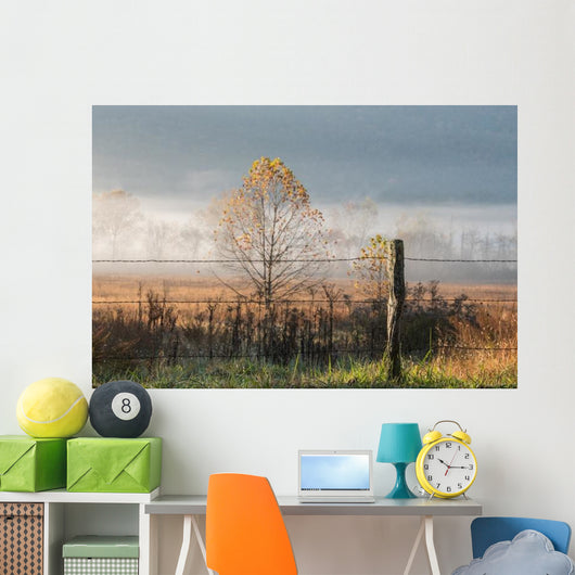 Old Wire Fence Foggy Wall Decal
