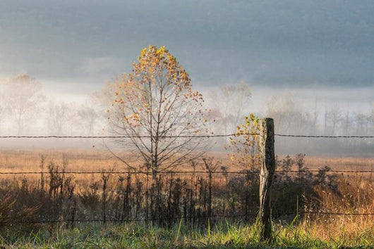 Old Wire Fence Foggy Wall Decal