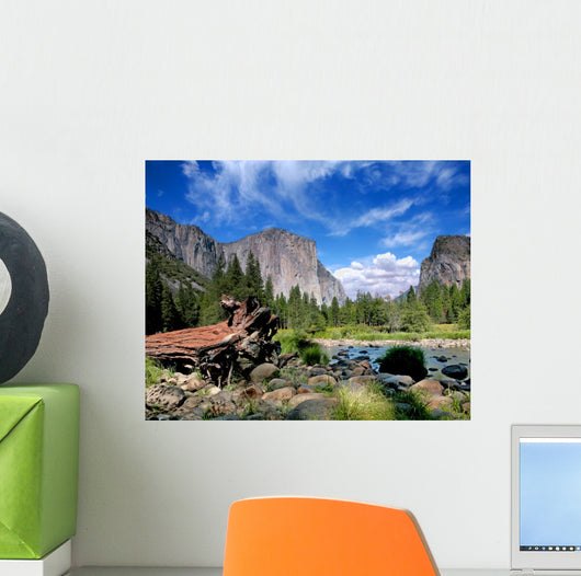 El Capitan View in Yosemite Nation Park Wall Mural
