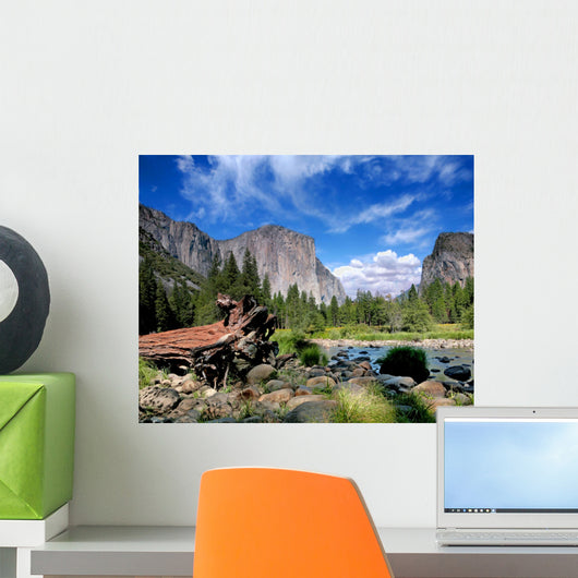El Capitan View in Yosemite Nation Park Wall Mural
