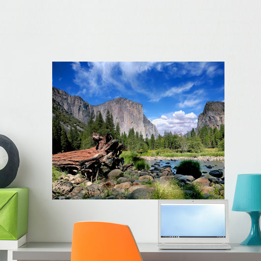 El Capitan View in Yosemite Nation Park Wall Mural