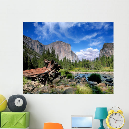 El Capitan View in Yosemite Nation Park Wall Mural