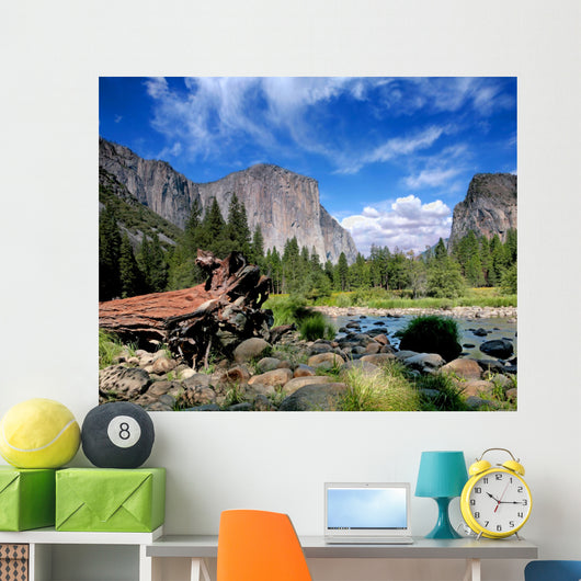 El Capitan View in Yosemite Nation Park Wall Mural