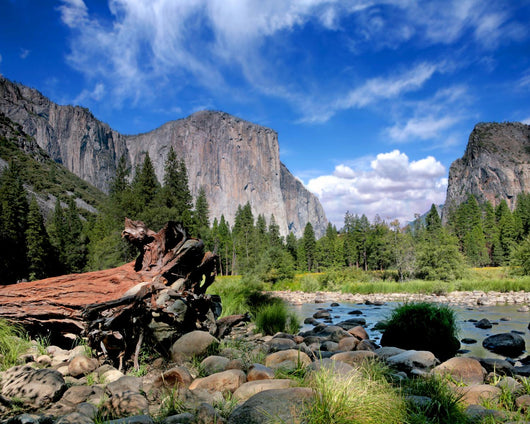 El Capitan View in Yosemite Nation Park Wall Mural
