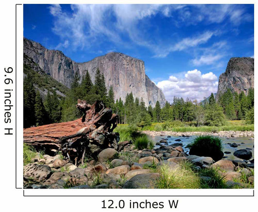 El Capitan View in Yosemite Nation Park Wall Mural