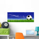Soccer Ball Green Grass Wall Mural