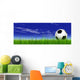 Soccer Ball Green Grass Wall Mural