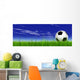 Soccer Ball Green Grass Wall Mural
