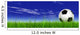 Soccer Ball Green Grass Wall Mural