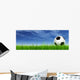 Soccer Ball against Sky Wall Mural