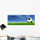 Soccer Ball against Sky Wall Mural