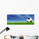 Soccer Ball against Sky Wall Mural