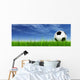 Soccer Ball against Sky Wall Mural