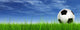 3D black soccer ball,green grass and a blue sky with clouds Wall Mural