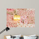 Quilting Wall Mural