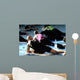 fitness Wall Mural