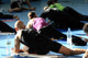 fitness Wall Mural