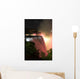 niagara falls by night Wall Mural