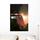 niagara falls by night Wall Mural