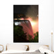 niagara falls by night Wall Mural