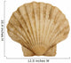 Shell Wall Decal