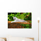 White Tiger Wall Mural