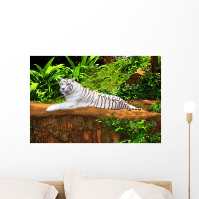 White Tiger Wall Mural shown on a wall