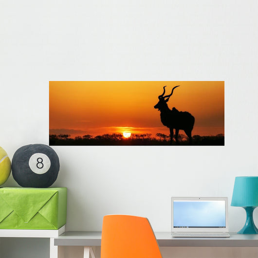 South Africa Sunset Kudu Wall Decal