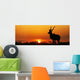 South Africa Sunset Kudu Wall Decal