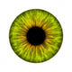 iris Wall Decal