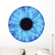 iris Wall Decal