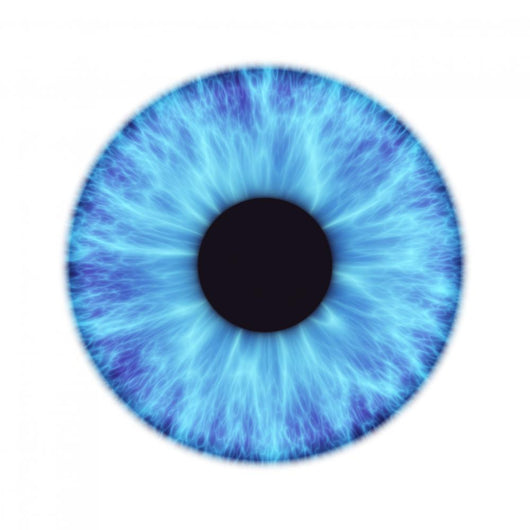 iris Wall Decal