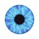 iris Wall Decal