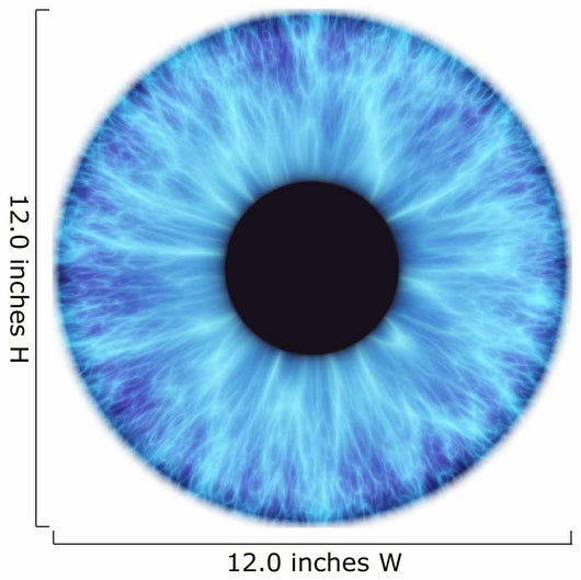 iris Wall Decal
