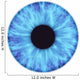 iris Wall Decal