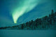 Aurora Borealis Wall Decal
