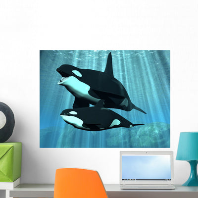 Orca Killer Whale Wall Mural shown on a wall