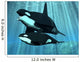 Orca Killer Whale Wall Mural