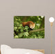 Red Panda Wall Mural