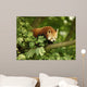 Red Panda Wall Mural