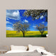 Blooming Trees and Rape Wall Mural