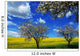 Blooming Trees and Rape Wall Mural