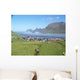 Faroe Islands Wall Decal Design 2
