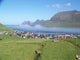Faroe Islands Wall Decal Design 2