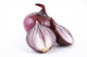 red onion Wall Decal